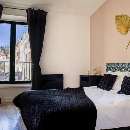 *rare Historique Calme 1min Theatre Antique Apartment Vienne (Isere)