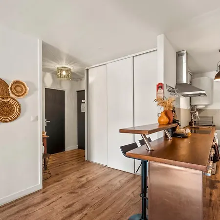 *rare Historique Calme 1min Theatre Antique Apartment Vienne (Isere)